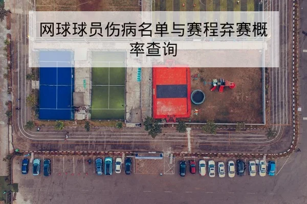 网球球员伤病名单与赛程弃赛概率查询